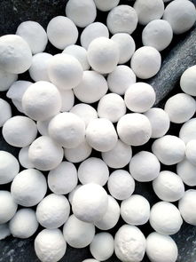 濮陽(yáng)濮耐高溫材料 集團(tuán) 與您相約2019第七屆中國(guó)水泥節(jié)能環(huán)保技術(shù)交流大會(huì)