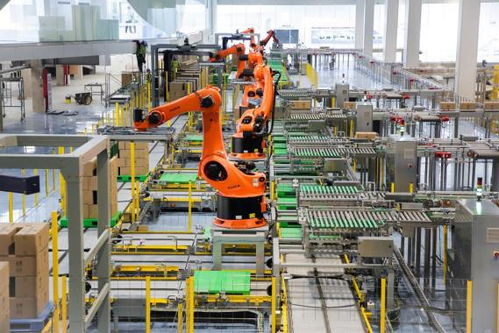 伊利健康谷迎來 中國有約 國際媒體采訪團,中國乳業(yè)高質(zhì)量發(fā)展引全球矚目