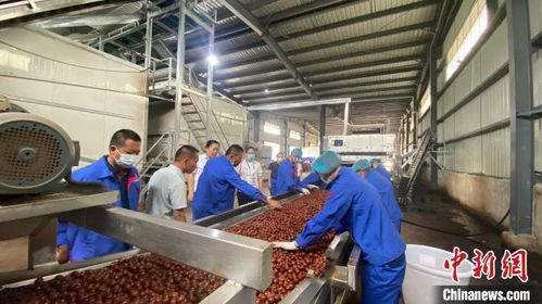 百國華僑華人走進云南臨滄 感受創(chuàng)新進步 開放包容大美邊疆